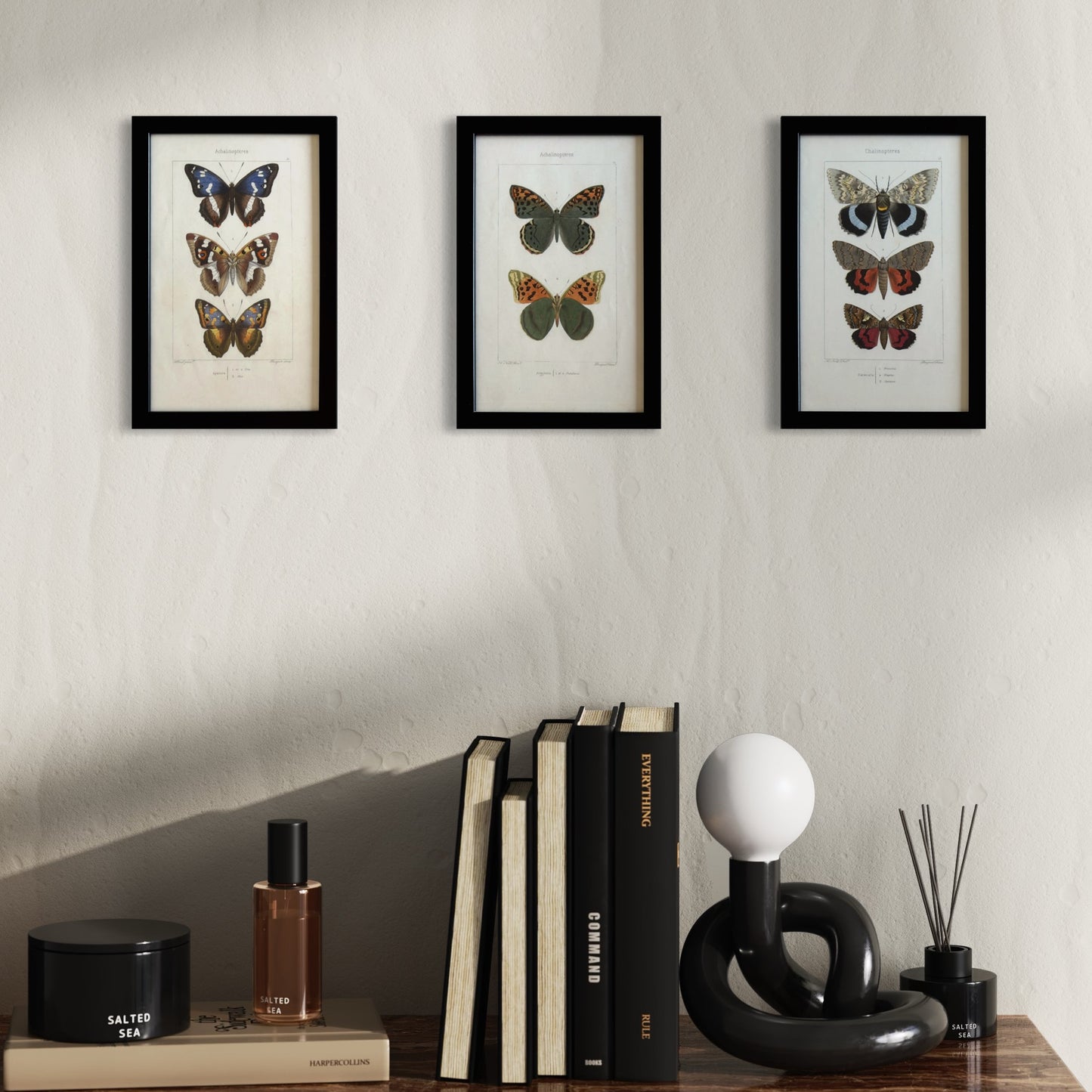 19th Century Original Hand-Coloured Antique Butterfly Engravings