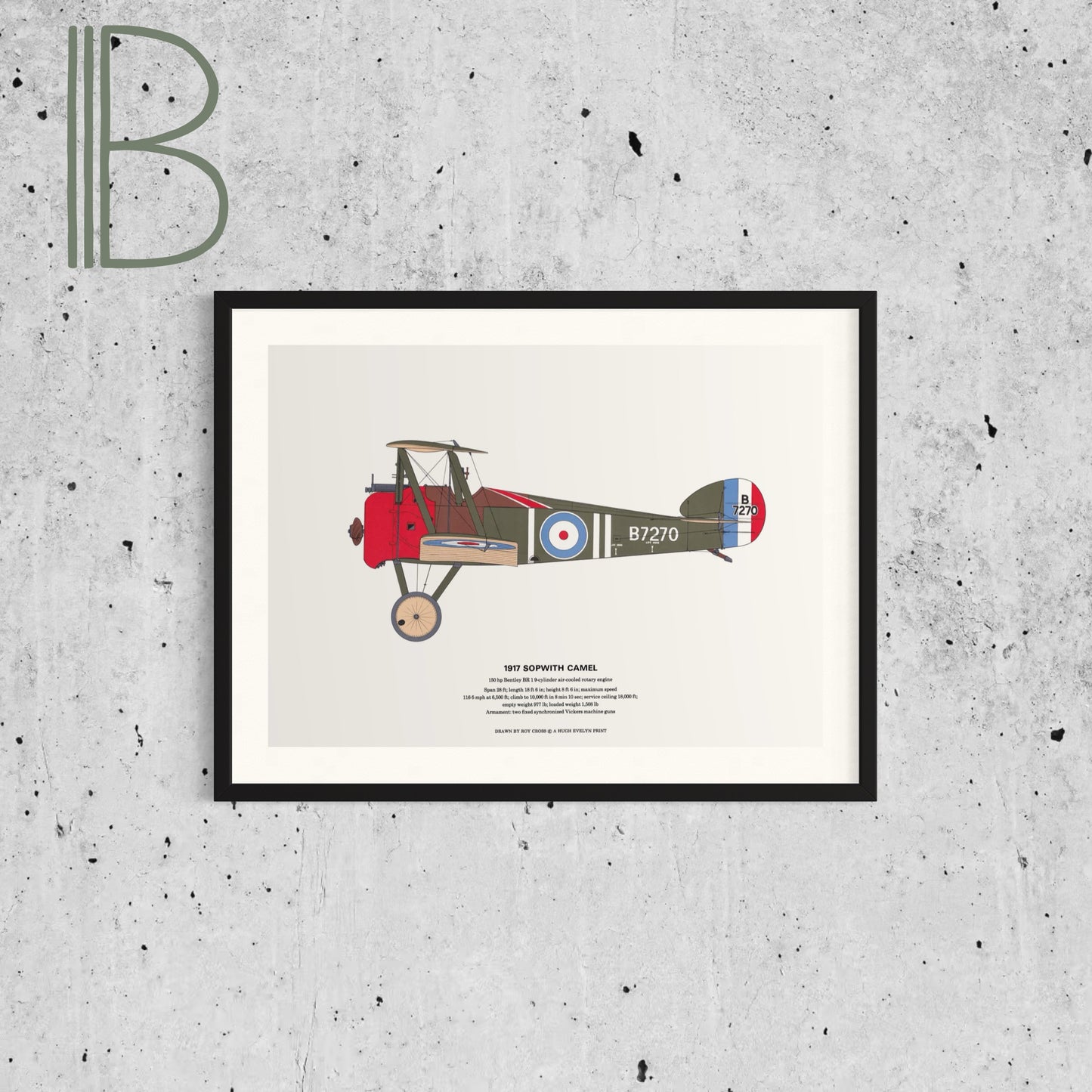 Classic Airplane Plated Print