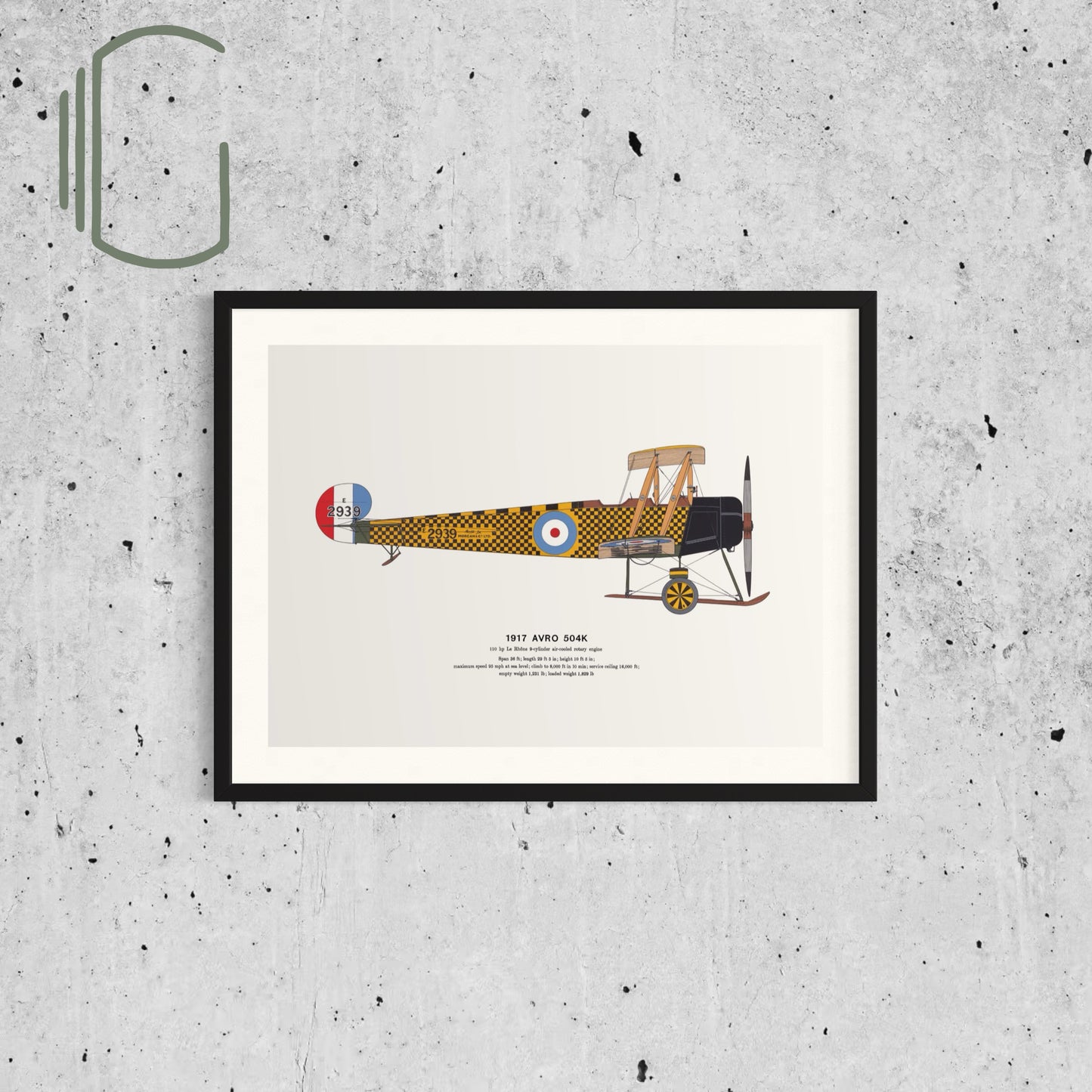 Classic Airplane Plated Print