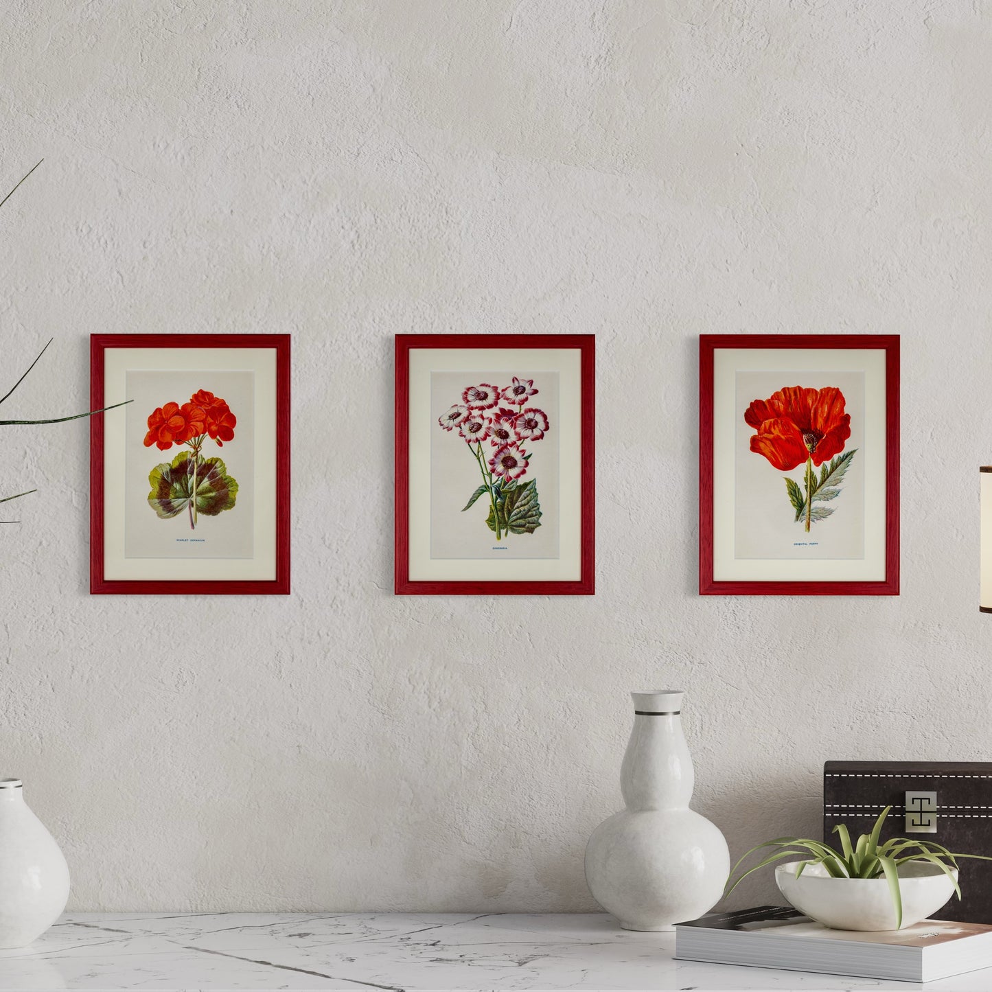 Original Antique Offset Lithograph from 1900s | Botanicals | Sold Individually