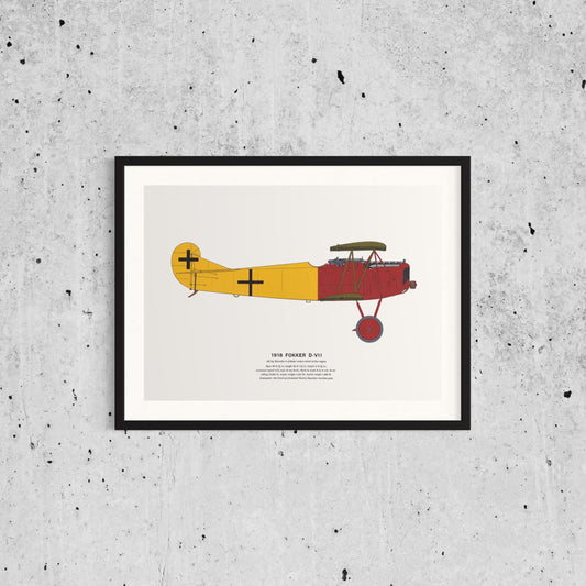 Classic Airplane Plated Print