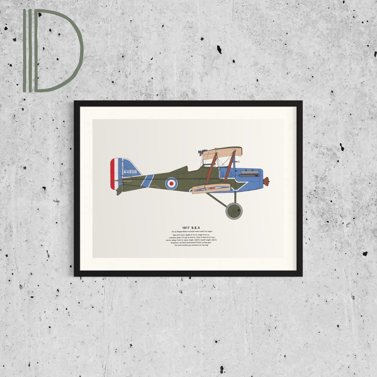 Classic Airplane Plated Print