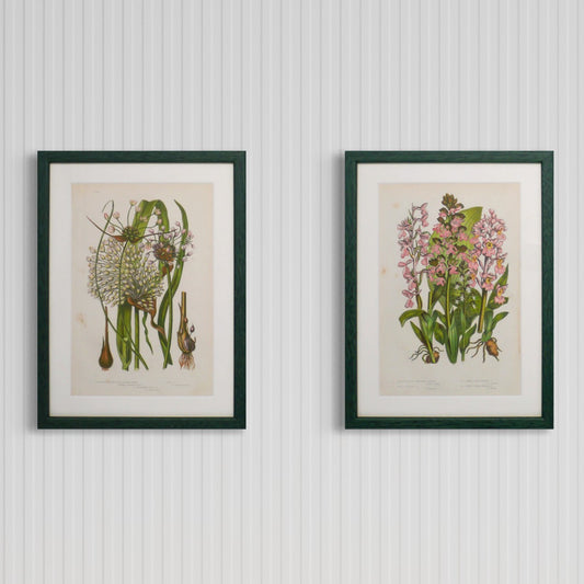 Pair of Original Green Antique Botanicals