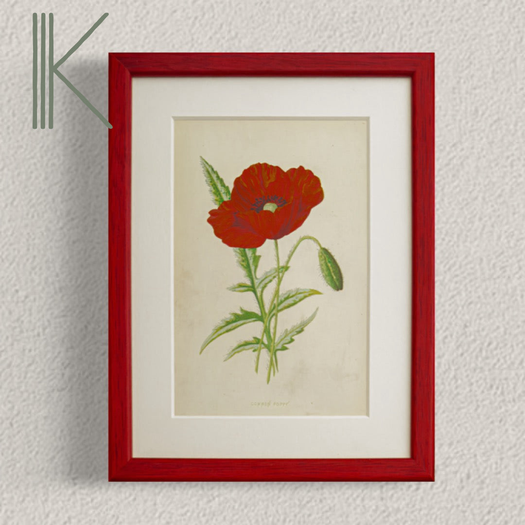 Original Antique Offset Lithograph from 1900s | Botanicals | Sold Individually