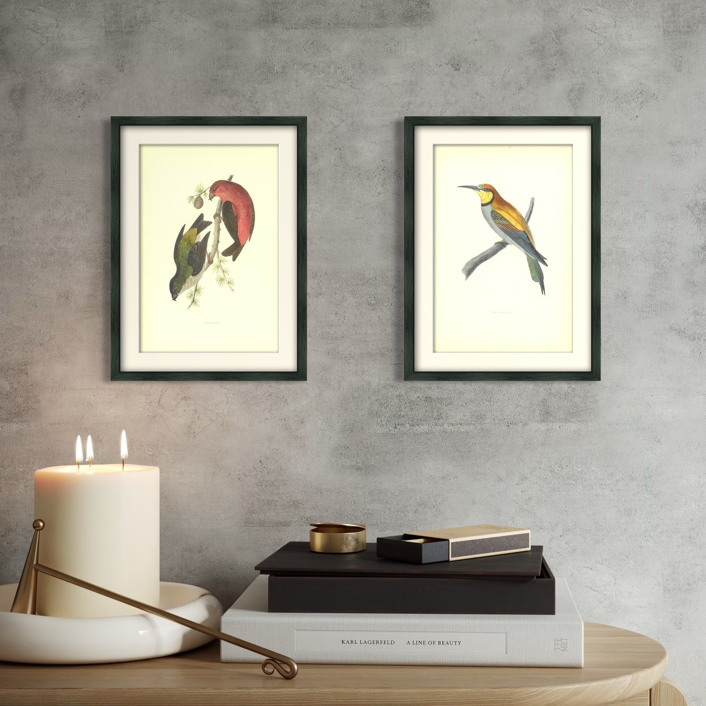 Original Antique Hand-Coloured Bird Print