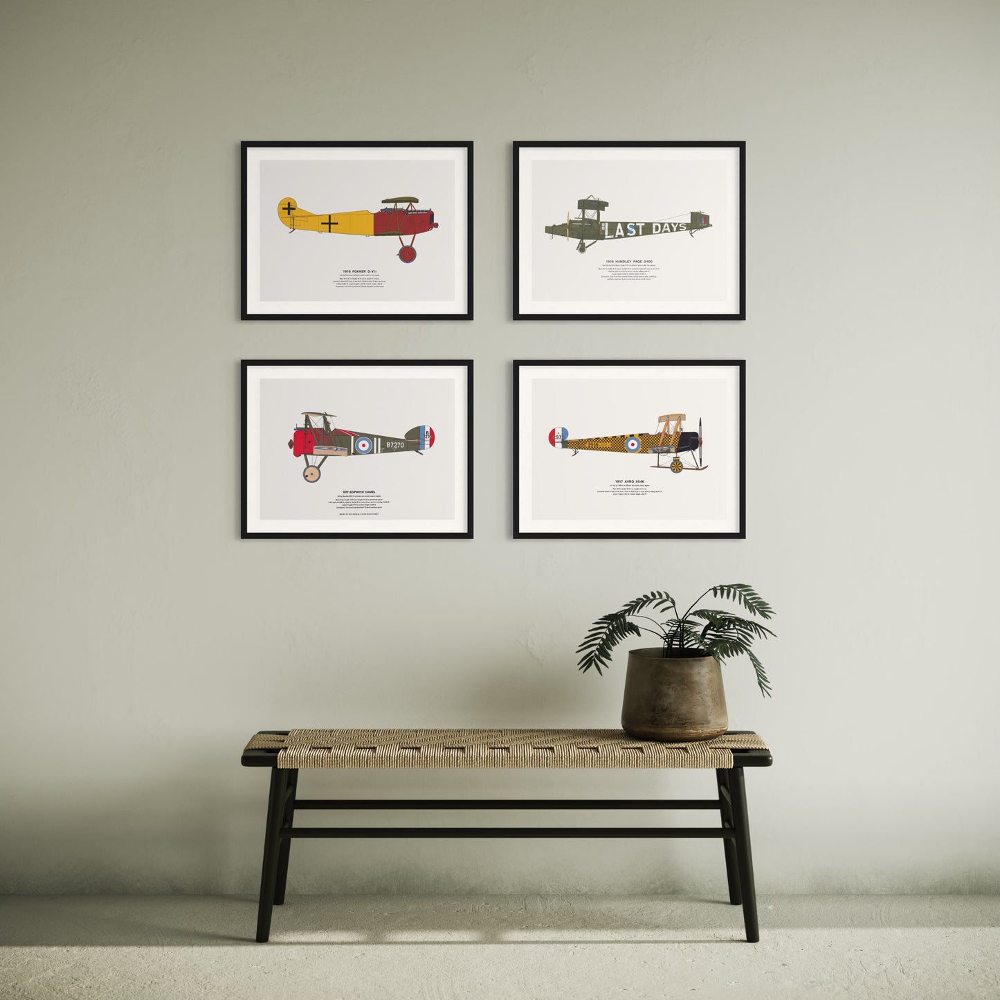 Classic Airplane Plated Print