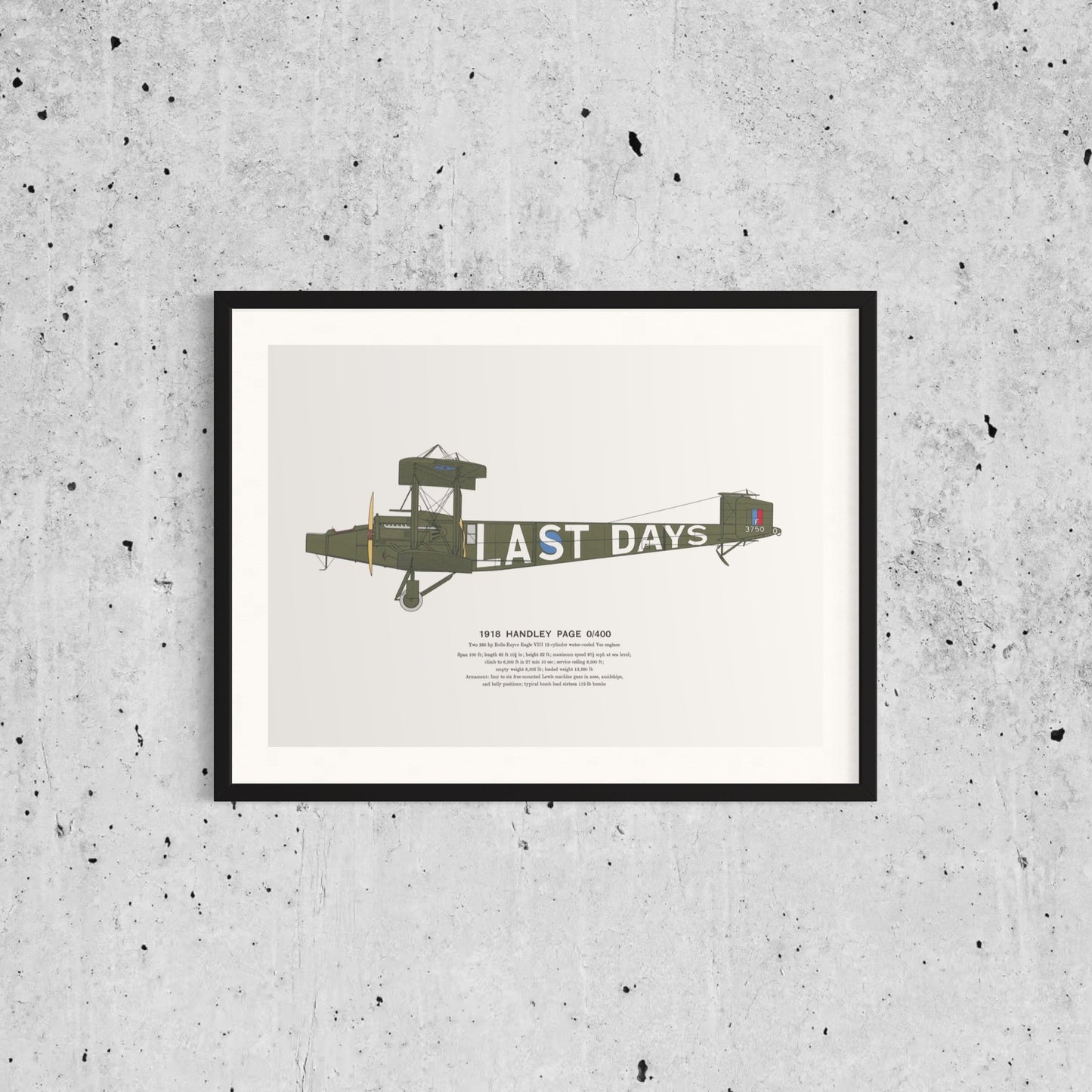 Classic Airplane Plated Print