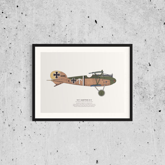 Vintage Classic Airplane Print