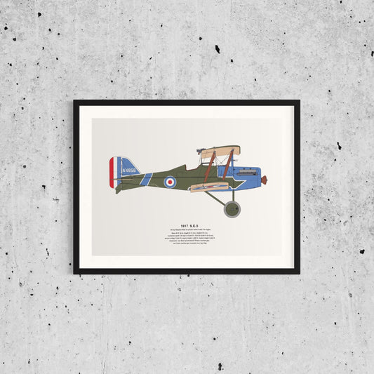 Vintage Classic Airplane Print