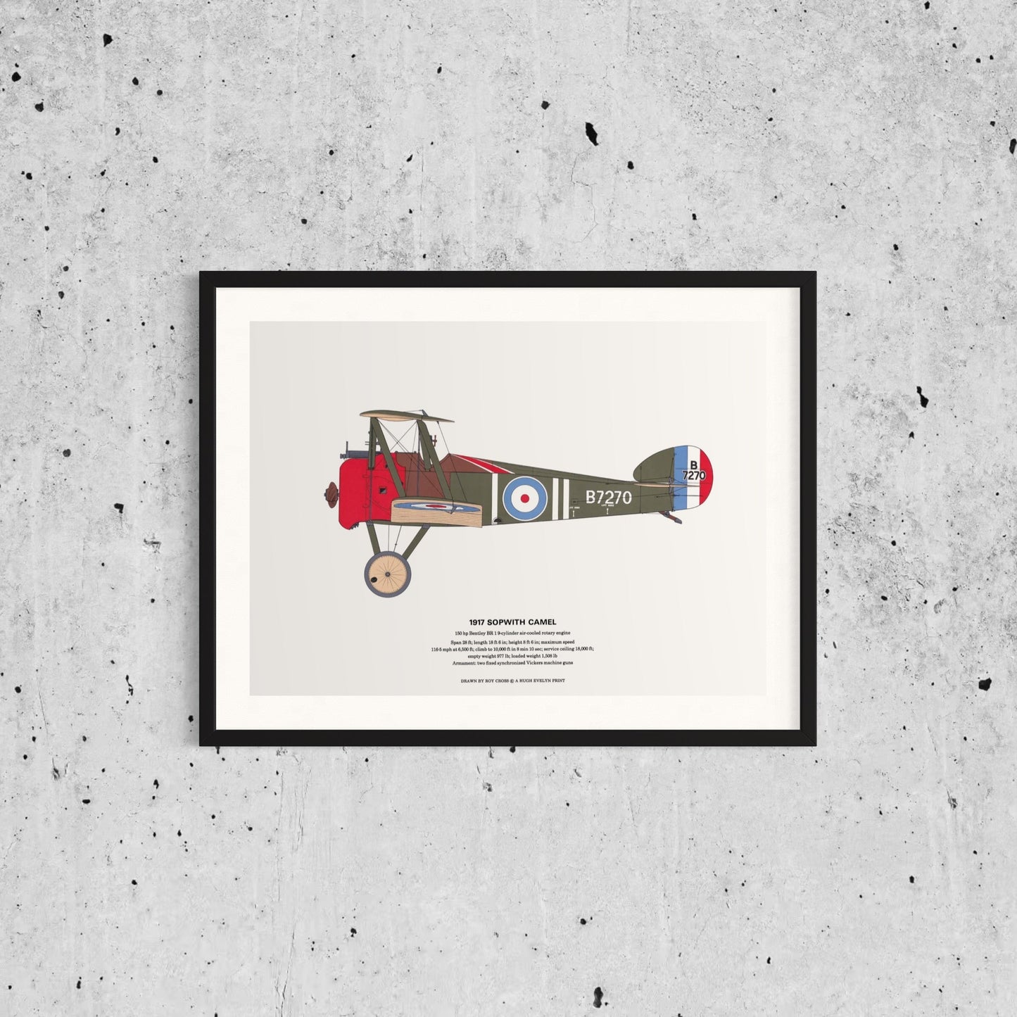 Vintage Classic Airplane Print
