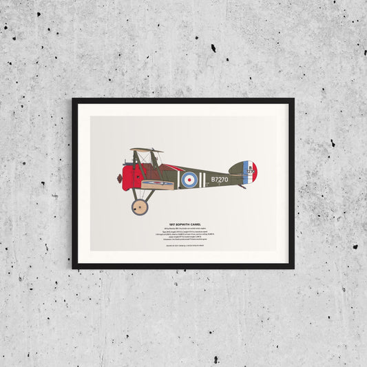 Vintage Classic Airplane Print