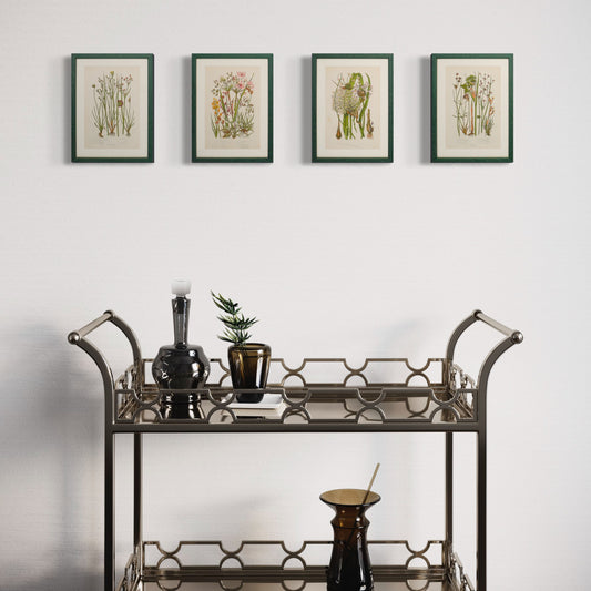 Set of Original Green Antique Botanicals Prints