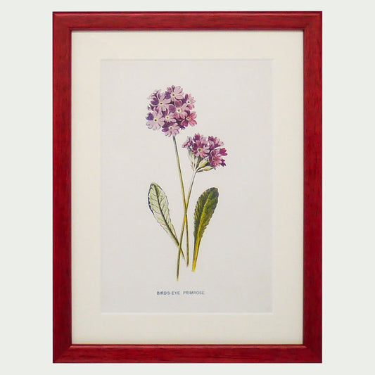 Original Red Antique Botanicals