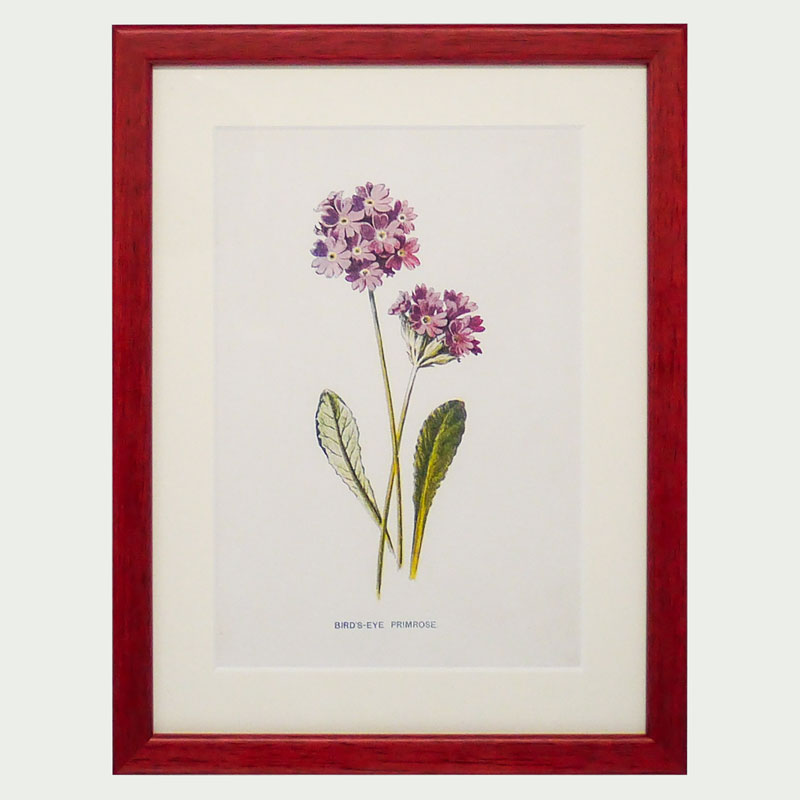 Red Antique Botanicals - More Options Available