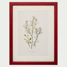 Load image into Gallery viewer, Red Antique Botanicals - More Options Available
