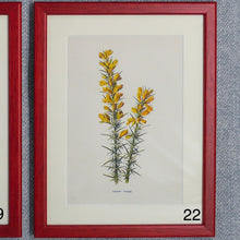 Load image into Gallery viewer, Red Antique Botanicals - More Options Available
