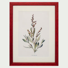 Load image into Gallery viewer, Red Antique Botanicals - More Options Available
