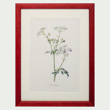 Load image into Gallery viewer, Red Antique Botanicals - More Options Available
