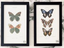 Load image into Gallery viewer, Black Antique Butterflies - More Options Available
