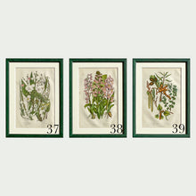 Load image into Gallery viewer, Green Antique Botanicals - More Options Available
