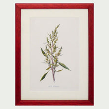 Load image into Gallery viewer, Red Antique Botanicals (White Flowers) - More Options Available
