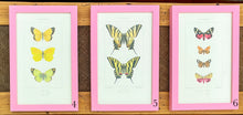 Load image into Gallery viewer, Pink Antique Butterflies &amp; Moths - More Options Available
