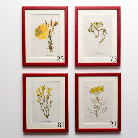 Red Antique Botanicals (Yellow Flowers) - More Options Available