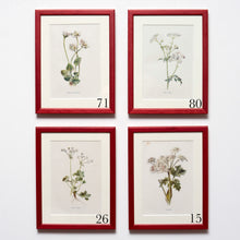 Load image into Gallery viewer, Red Antique Botanicals (White Flowers) - More Options Available
