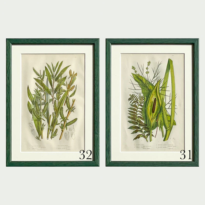Green Antique Botanicals - More Options Available
